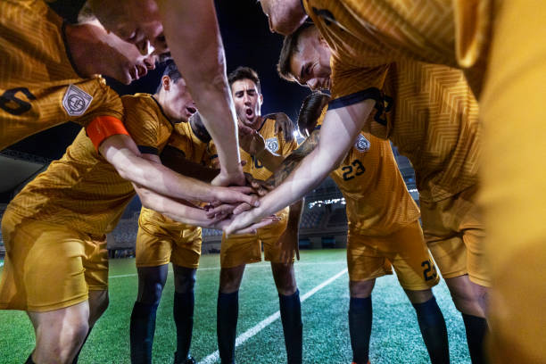 他与字母哥 他与字母哥